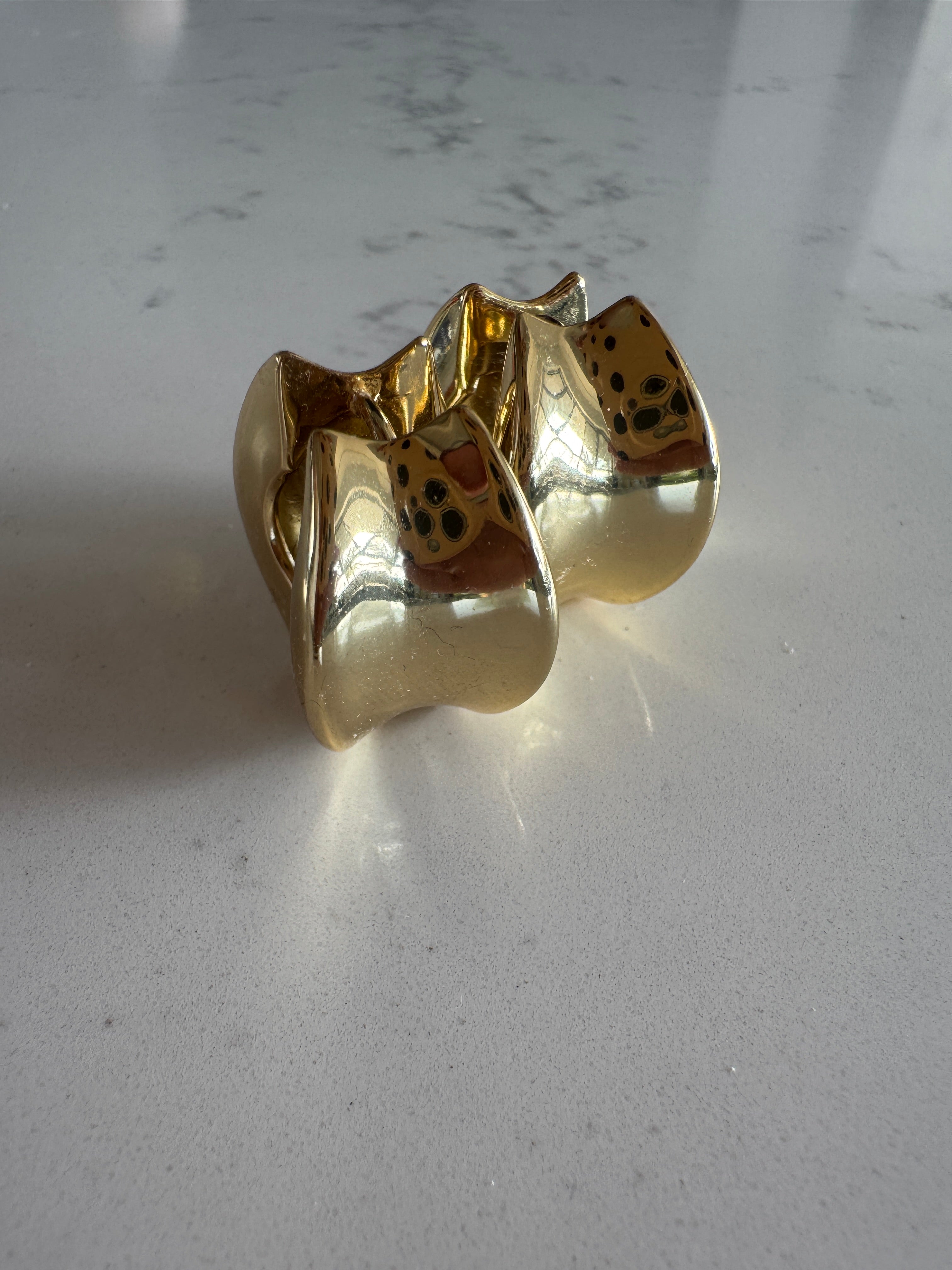 עגילי דורין